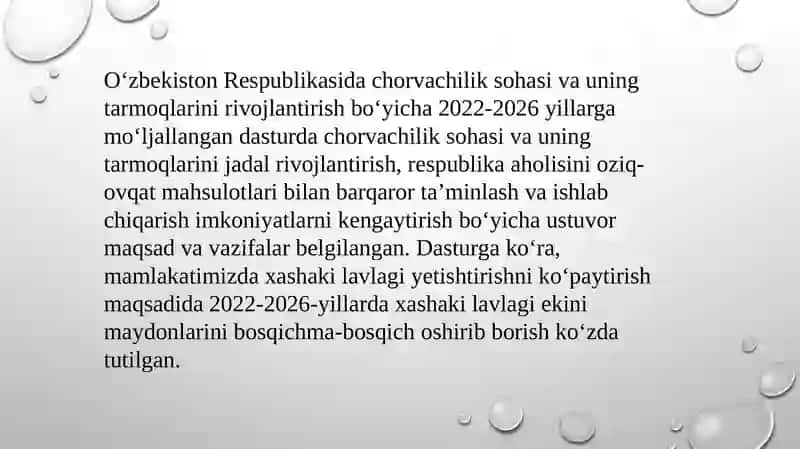 Xashaki lavlagi marfologiyasi, biologiyasi va yetishtirish texnologiyasi 3