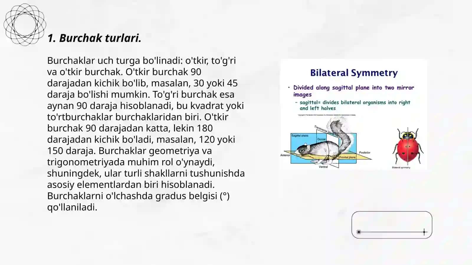 Burchak turlari 3