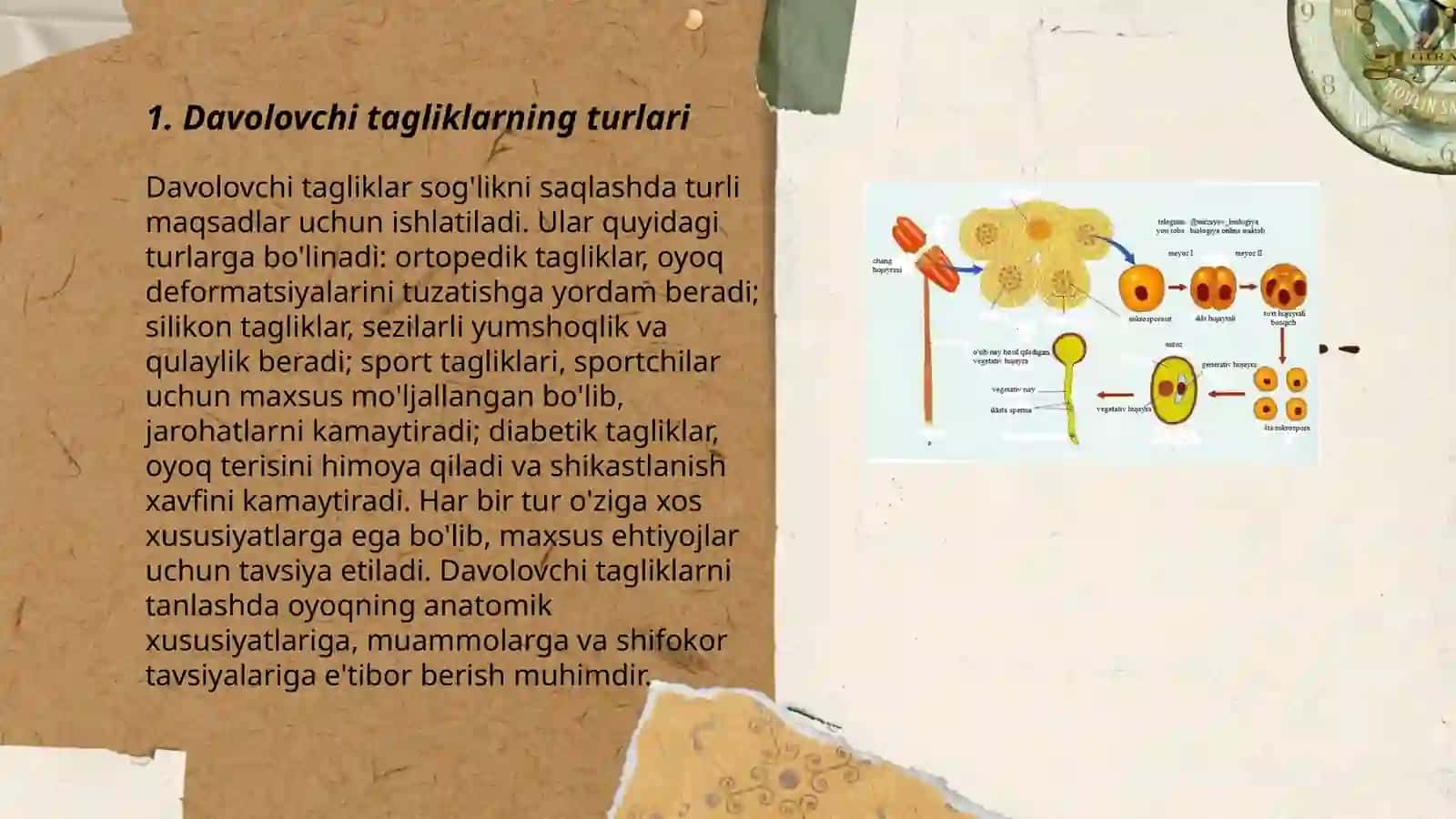 Davolovchi tagliklar turlari va xususiyatlari 3