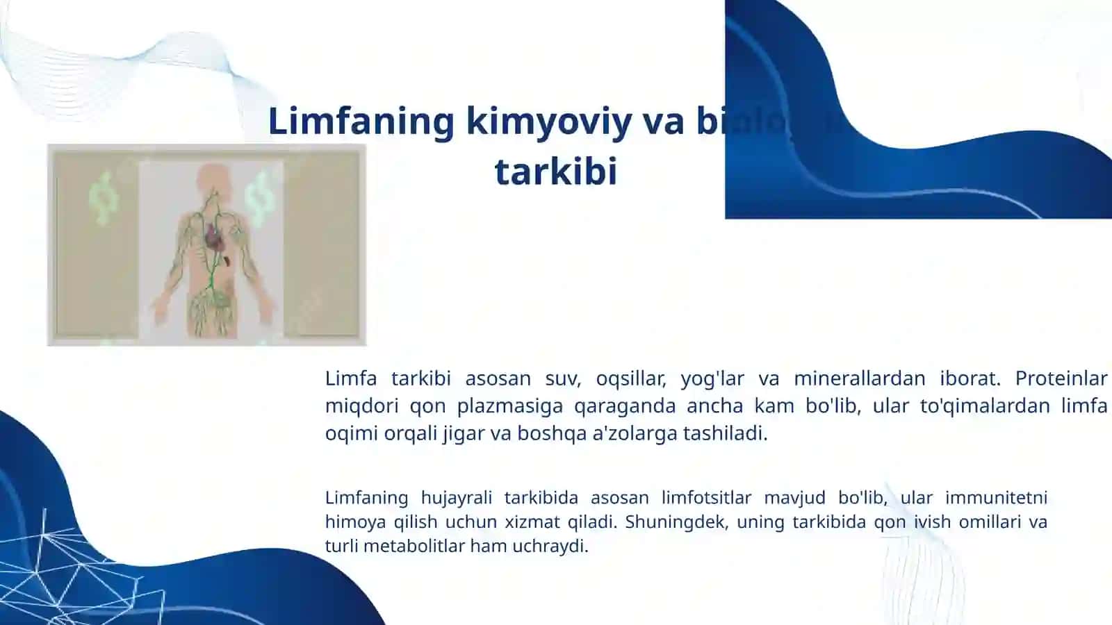 Limfa tizimi: Inson organizmidagi hayotiy muhim suyuqlik,. Anatomiya fanidan presentation 3