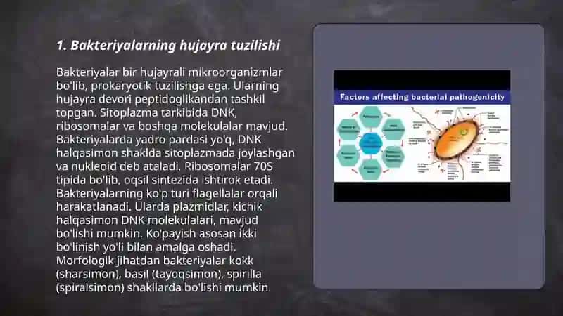 Bakteriyalarning tuzilishi, xilma xilligi va ko'payish turlari 3