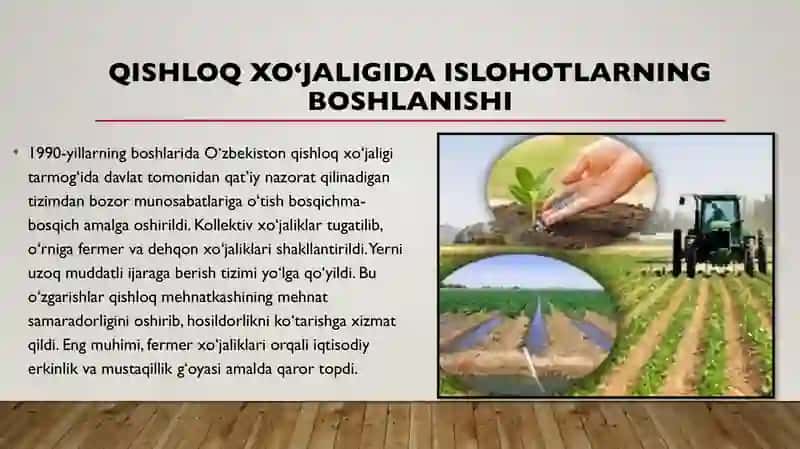 Mustaqillik yillarida qishloq xo‘jaligi va sanoat sohasidagi o‘zgarishlar 3