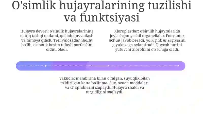 O’Simliklar Organizmlar Tuzilishi 3