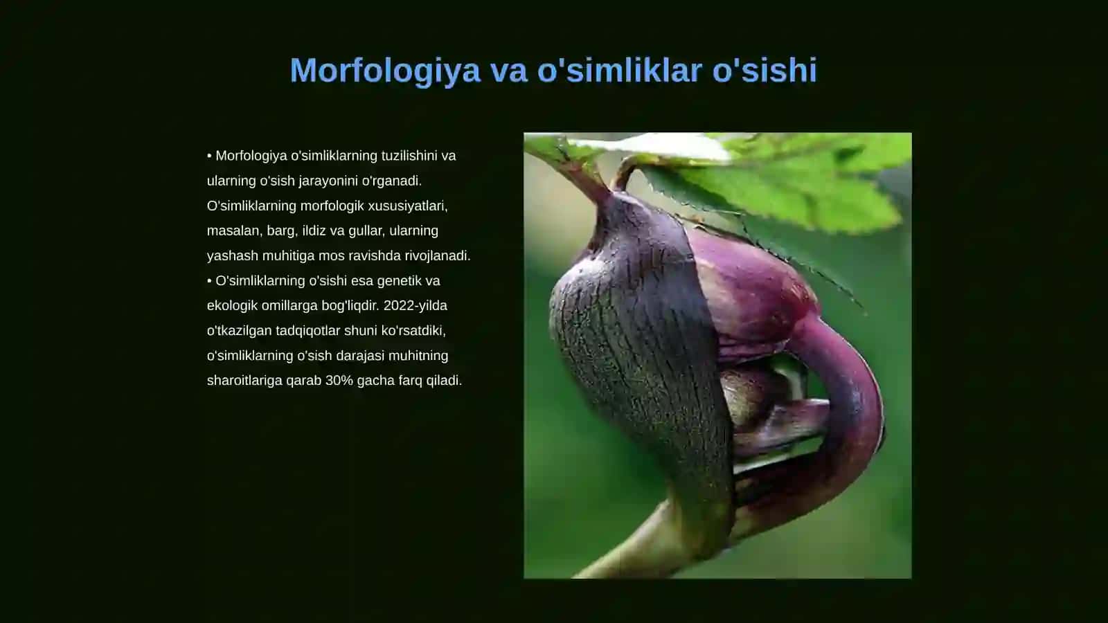 Morfologiya va o'simliklar o'sishi 3