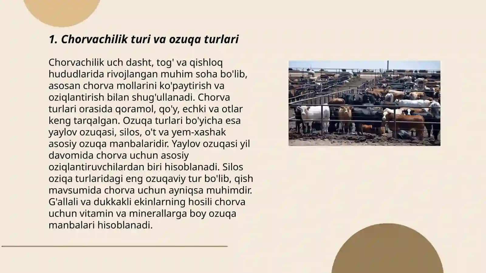 Chorvachilikning ayrim yónalishlarining ozuqaga bólgan talabi 3