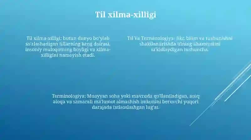 Tarixiy evolyutsiya: "Terminologiya" tushunchasi 3