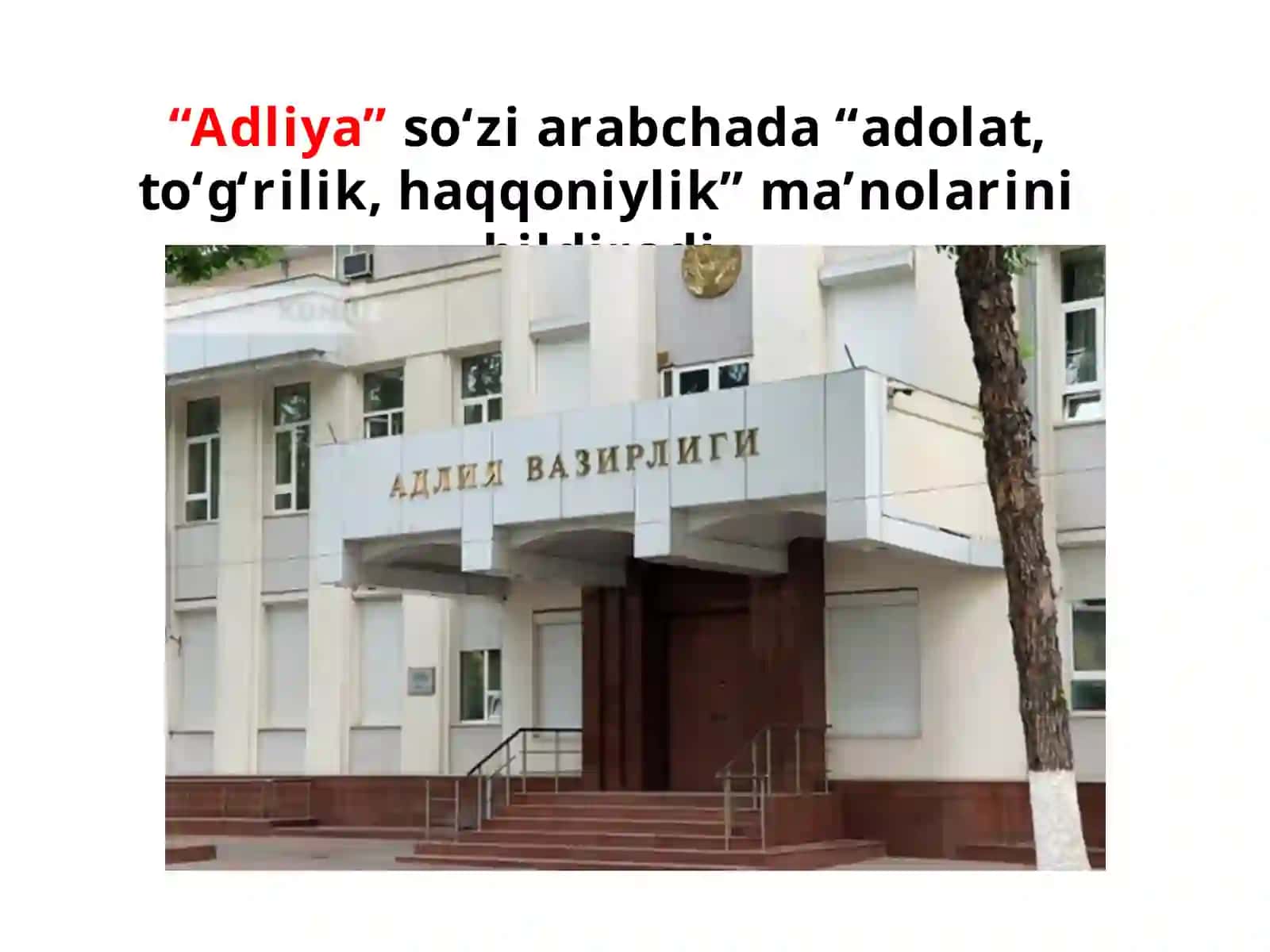 Adliya vazirligi Advokatura va Notarial idoralar 3