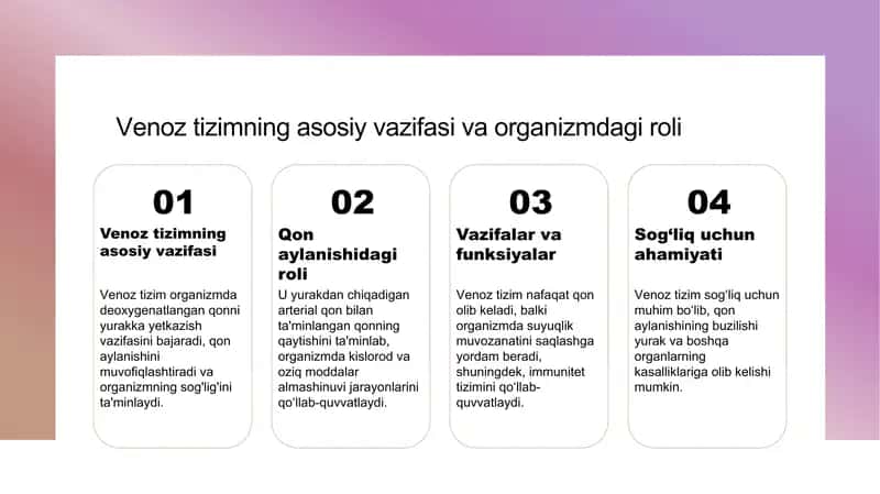 Venatizimi 3