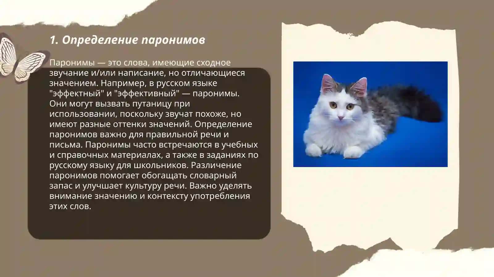 Паронимы в современном литературном языке 3