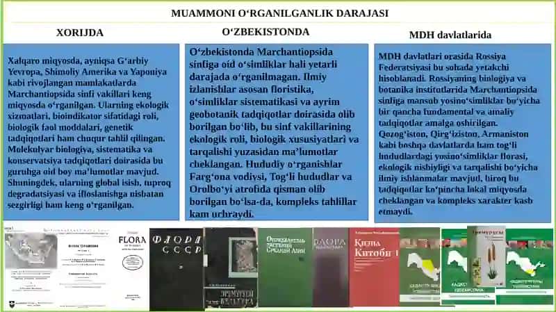 YO'SINTOIFA (MOXITOIFA) (BRYOPHYTA) O'SIMLIKAR BO'LIMI 3
