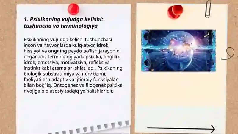 Psixikaning vujudga kelishi va evolutsiyasi 3
