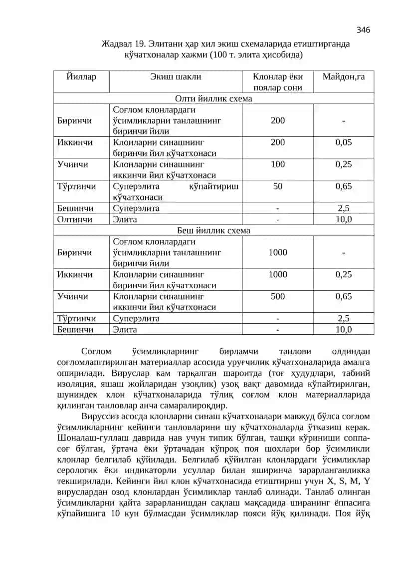 Картошка Уруғчилиги 3