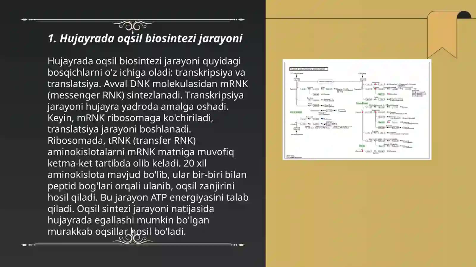Hujayrada iqsil biosintezi 3