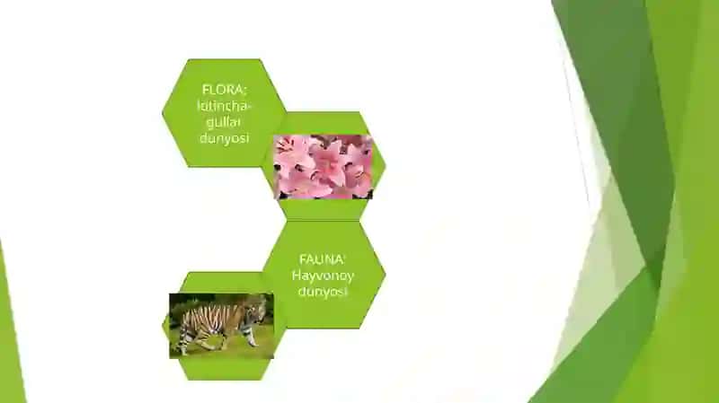Flora va Fauna dunyosi va uni muhofaza qilish 3