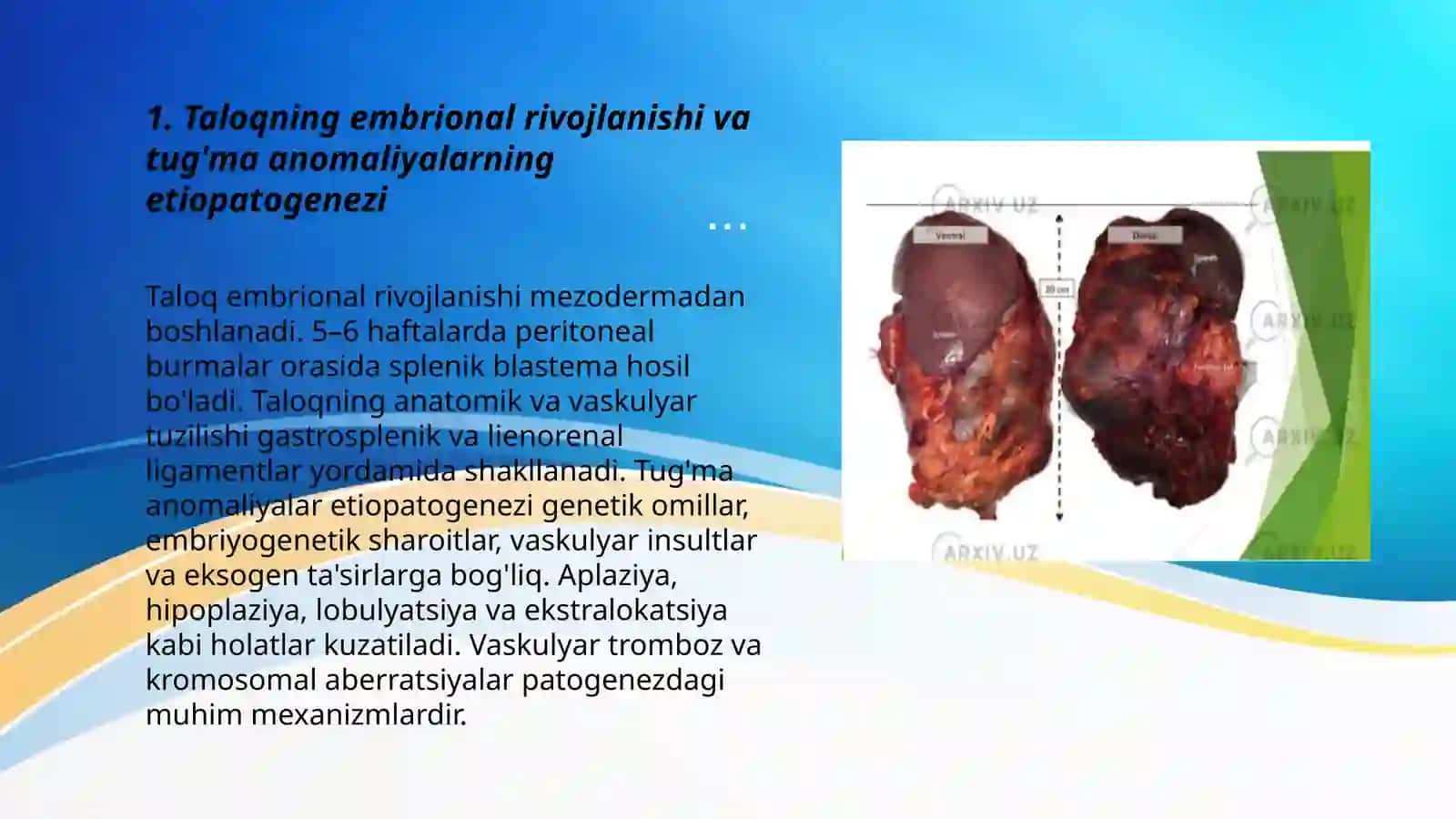 Taloqning tuģma anomaliyalari va òsmalari. Timusning rivojlanish buzilishlari. 3
