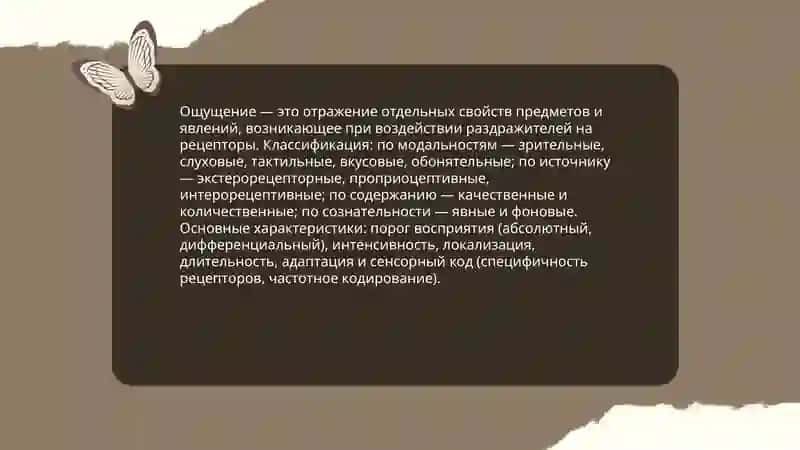 Общее представление об ощущениях и их нейрофизиологические основы 3