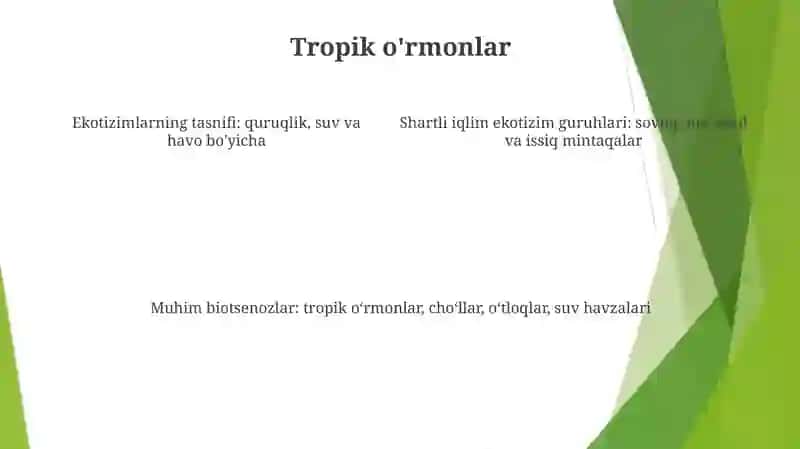 Yer Sharida Quruqlik Ekosistemalarni Shartli Iqlimiy Guruhlari Va Ularni Muhim Biotsenozlari 3