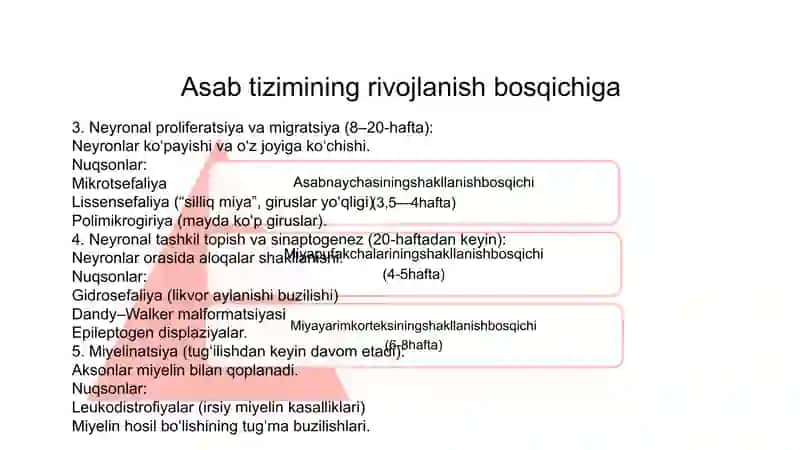 Bosh miya va orqa miya tug'ma rivojlanish nuqsonlari 3