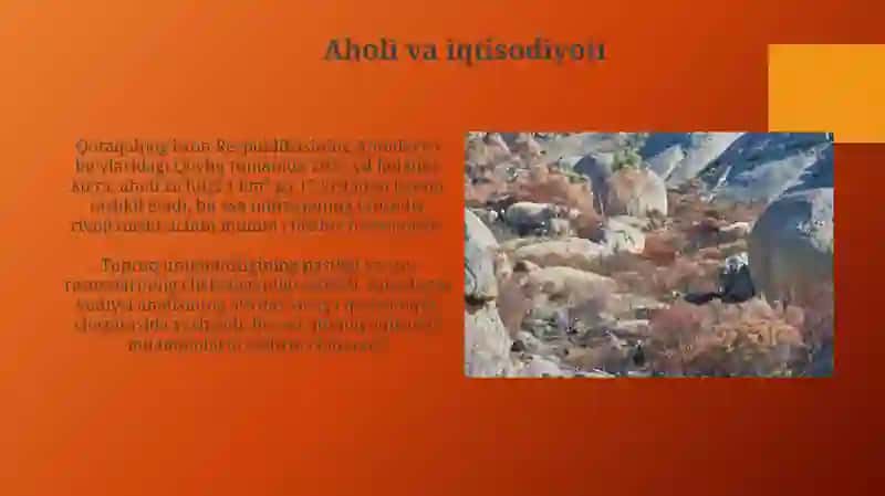 Quyi Amudaryo tabiiy geografik okrugi 3