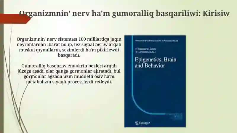 Organizm funkciyasinin' nerv ha'm gumoral basqariliwi 3