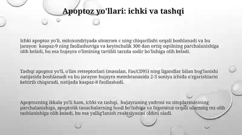 Dasturlashtirilgan Hujayra O'limi: Apoptozga Kirish 3