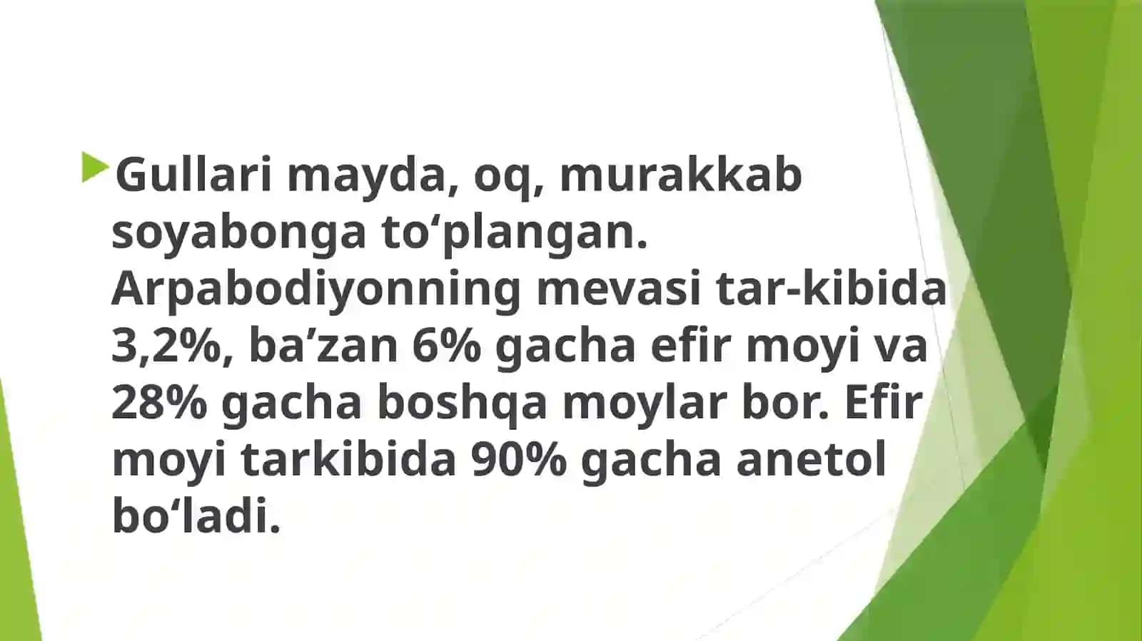 Arpabodiyon Oʻsimligi 3