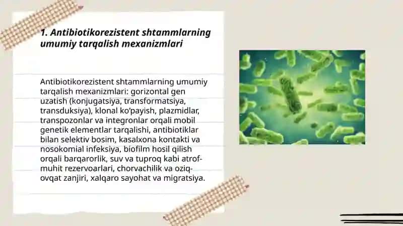 Antibiotikorezistent mikroorganizmlar shtammlarining tarqalishi 3