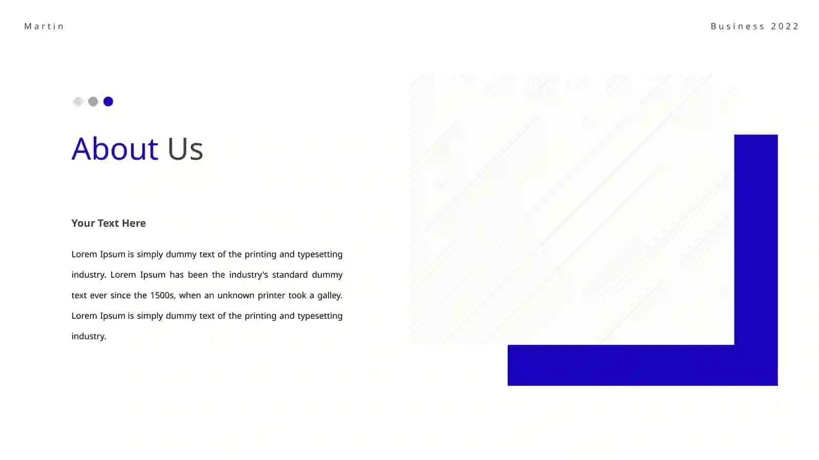 Martin BusinessPresentation 3