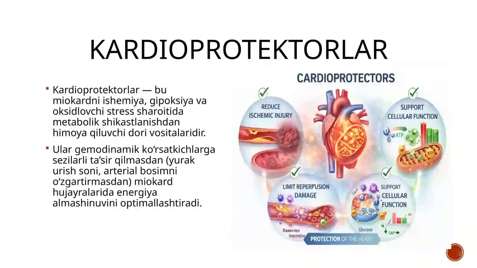 kardiprorektorlar va metabotrop vositalar 3