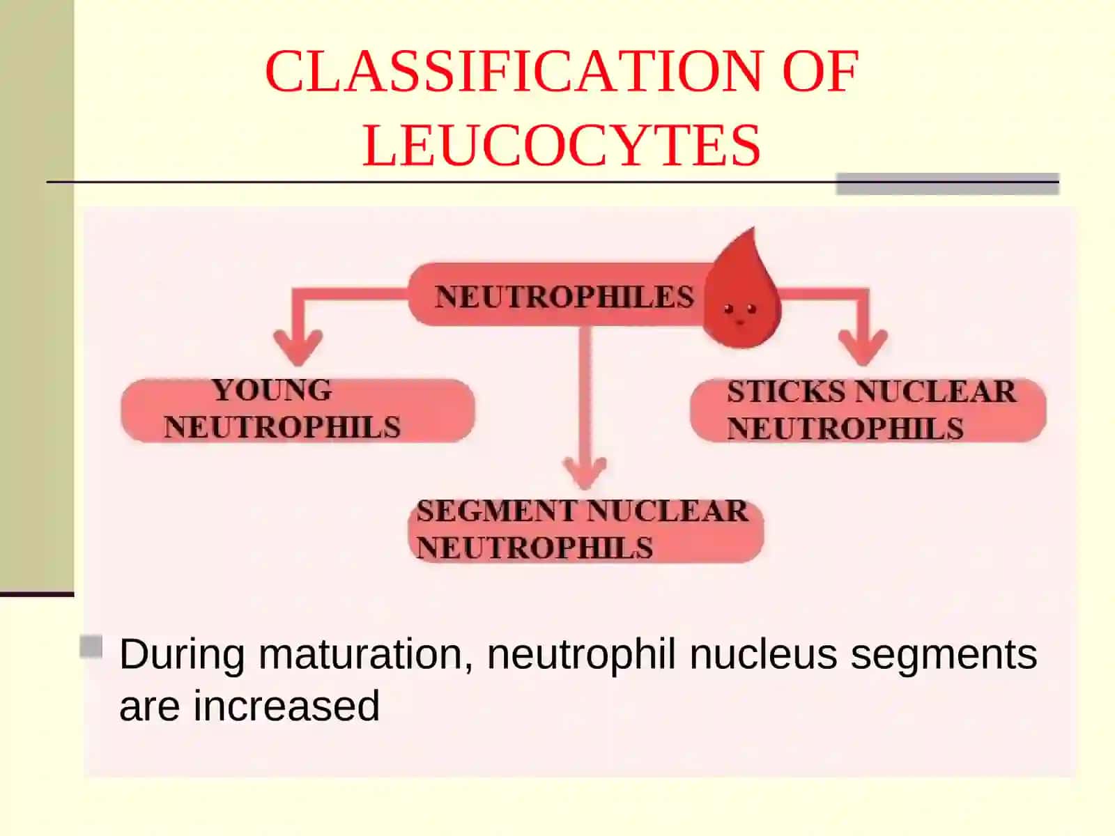 LEUCOCYTE FORMULA 3