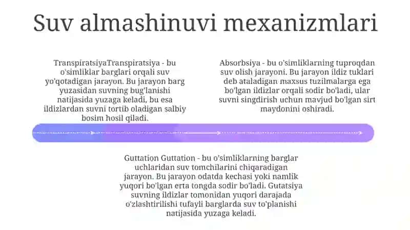 Turli Ekologik Guruh O'Simliklarida Suv Almashinuvi 3