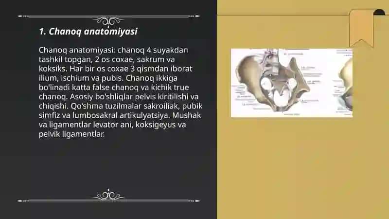 Chanoq va son suyagi 3
