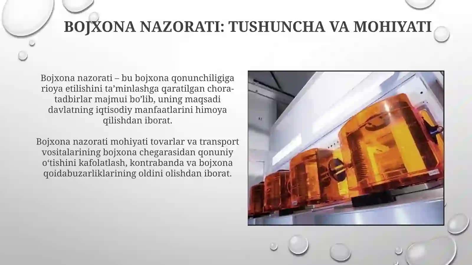 Bojxona nazorati 3