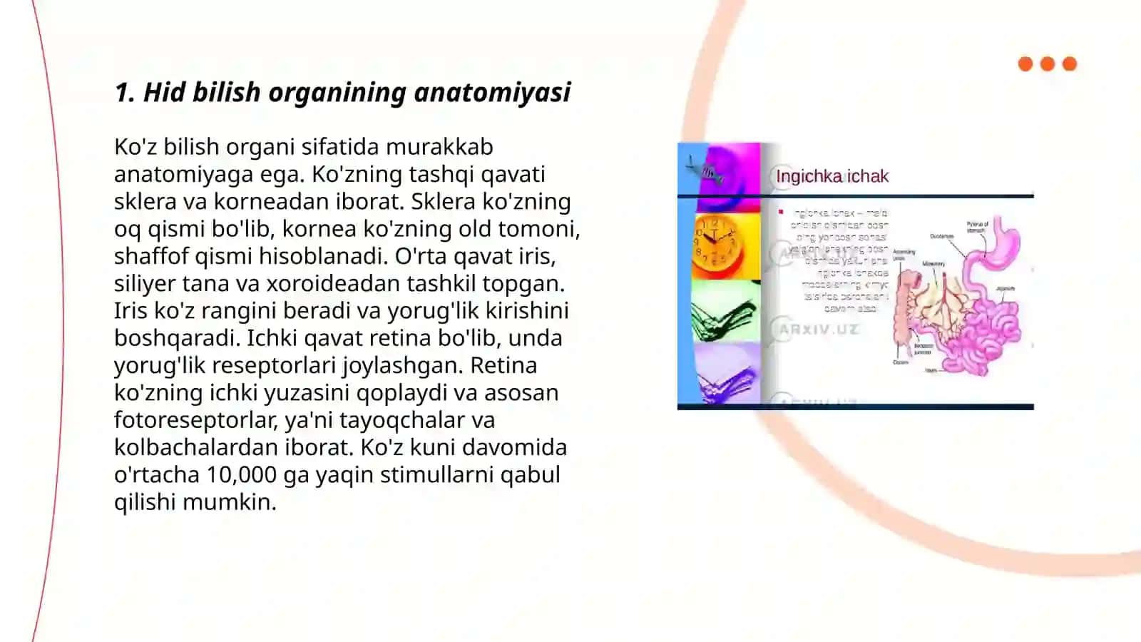 Hid bilish organining tuzilishi va uning regeneratsiya qilish xususiyatlari 3