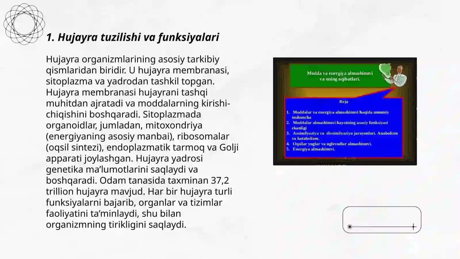 Odam anatomiyasi va fizologiyasi fani haqida tushuncha 3