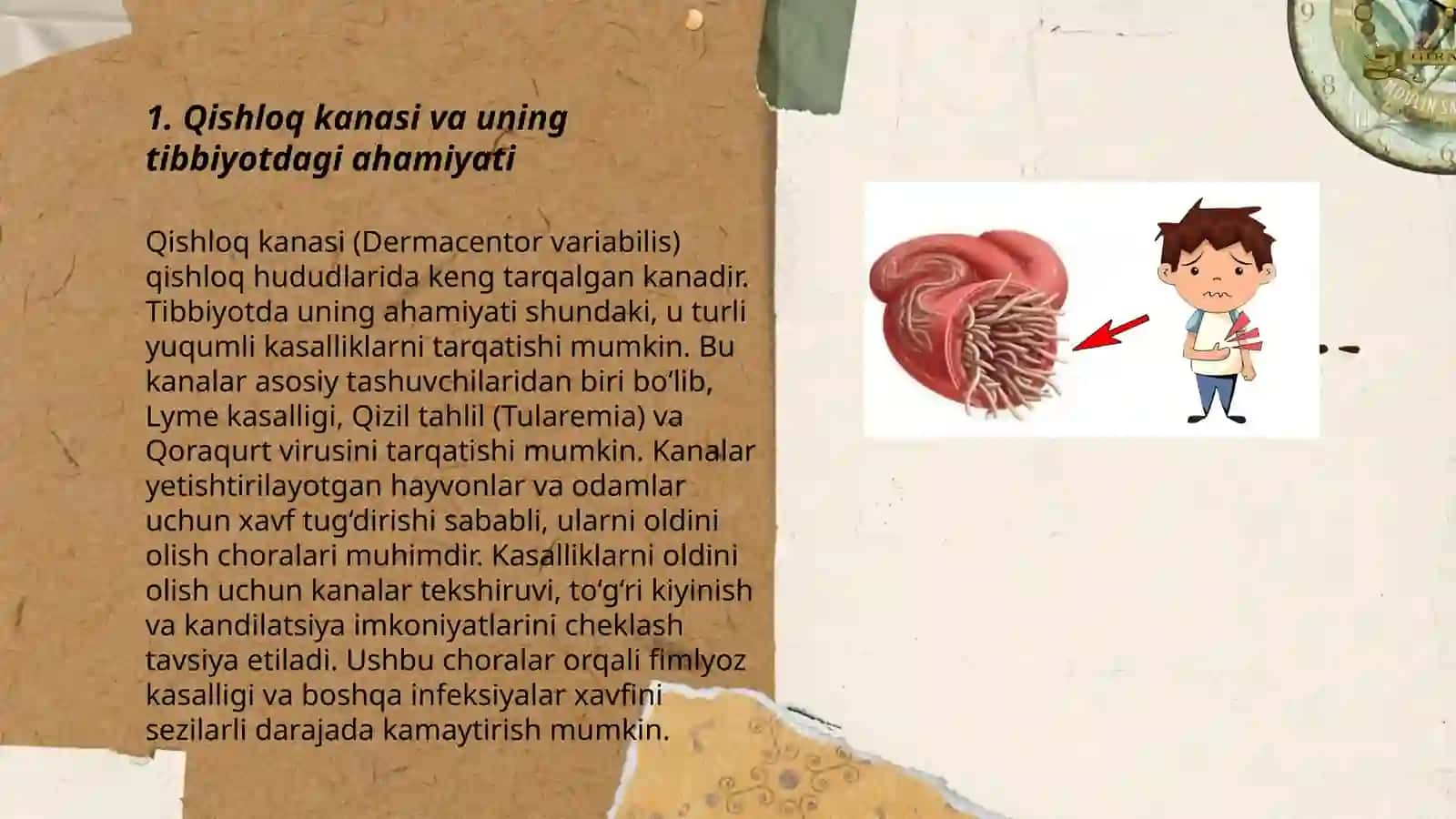 Tibbiyotda ahamiyatga ega boʻlgan oʻrgimchaksimonlar 3