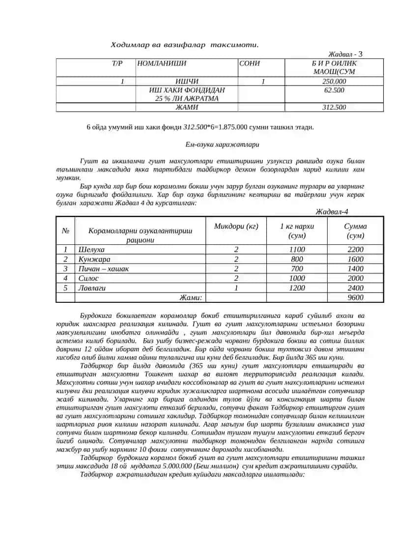 Chorvachilik uchun biznes reja 3