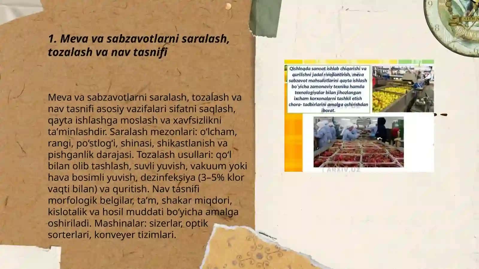 Meva va sabzavotlarni saralash, tozalash va nav tasnifi 3