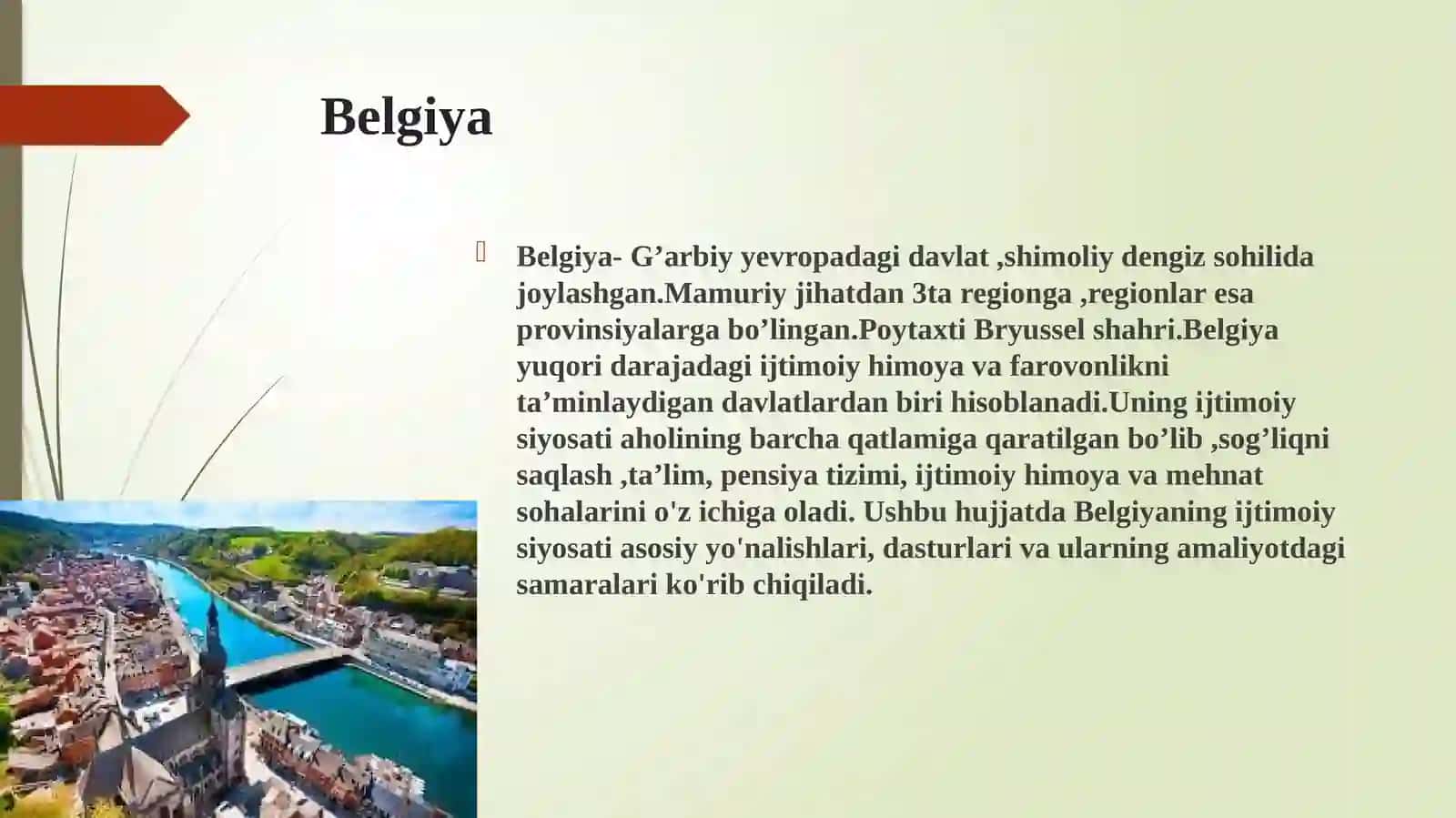 Belgiyaning ijtimoiy siyosati 3