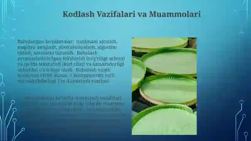 PISA xalqaro baholash dasturida baholash (kodlash) jarayoni 3