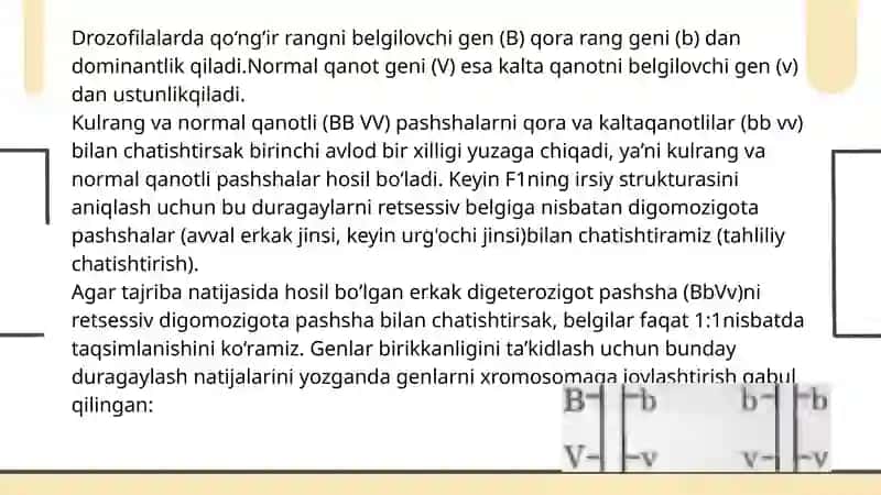 Genlarning birikkan holda irsiylanishi, nasldan naslga o‘tishi 3