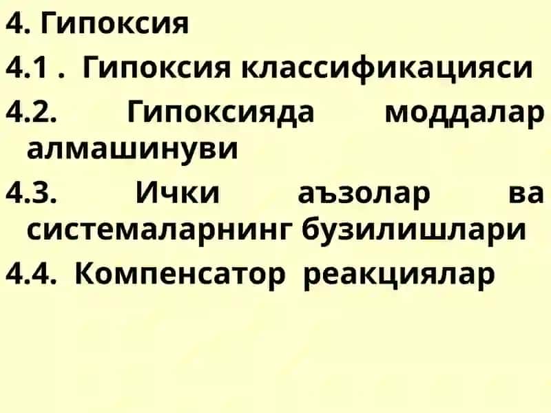 Ташки нафас патофизиологияси. Гипоксия 3