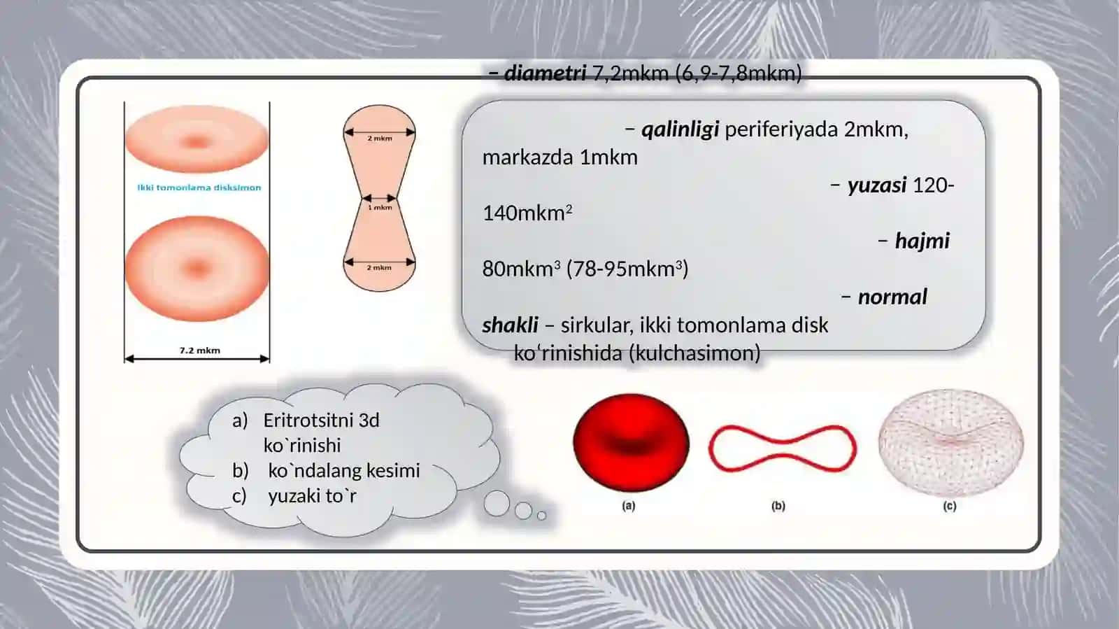 Eritrotsitlarni turlari va funksiyalari 3