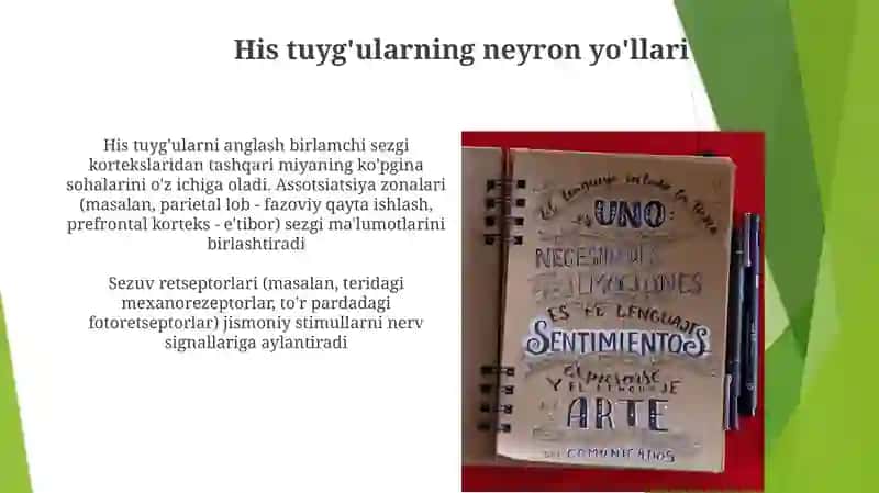 Sezgi haqida tushuncha va uning nerv-fiziologik asosi 3