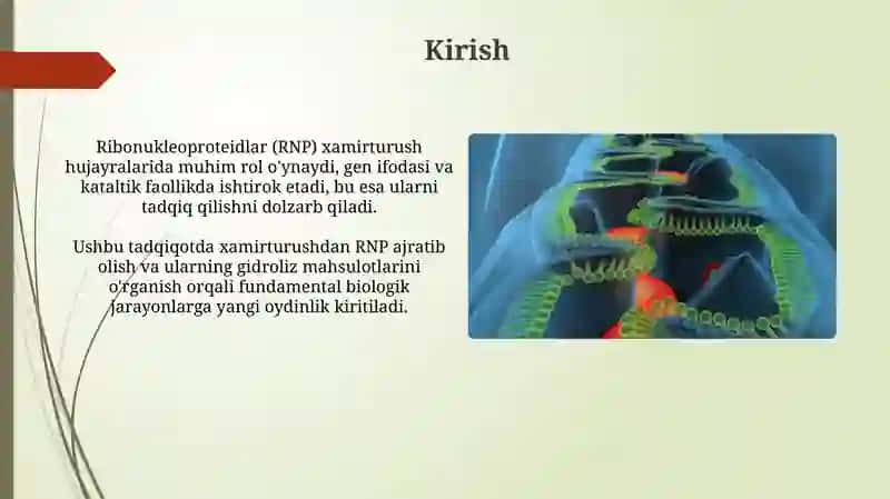 Ribonukleoproteinlarning Gidrolizi: Usullari va Mahsulotlarini Tahlil Qilish 3