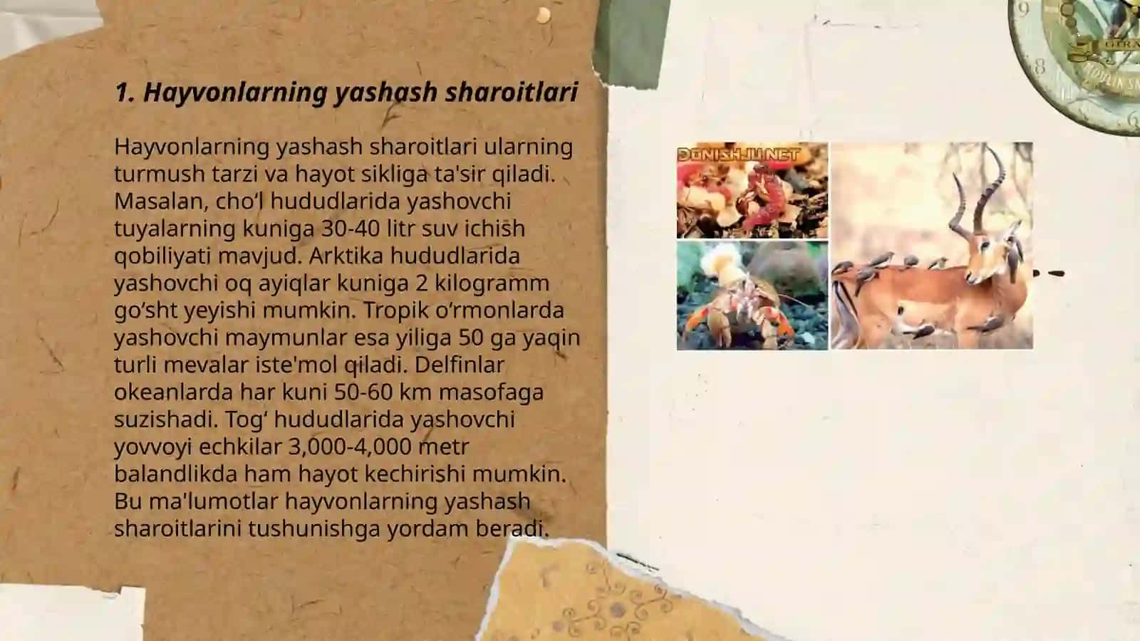 Hayvonot olamining yashash tarzi, ko'payishi va tarqalishi va turlari 3