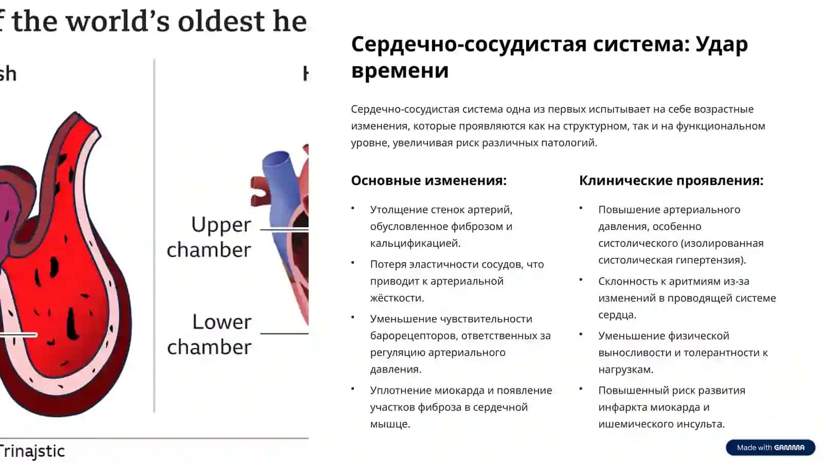 Возрастные изменения в организме (старение) 3