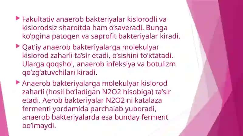 Bakteriyalarni nafas olishi 3