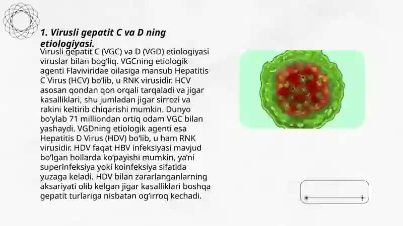 Virusli gepatit C va D etiologiyasi, epidemiologiyasi, laborator tekshiruvlar, klinikasi, davolash 3