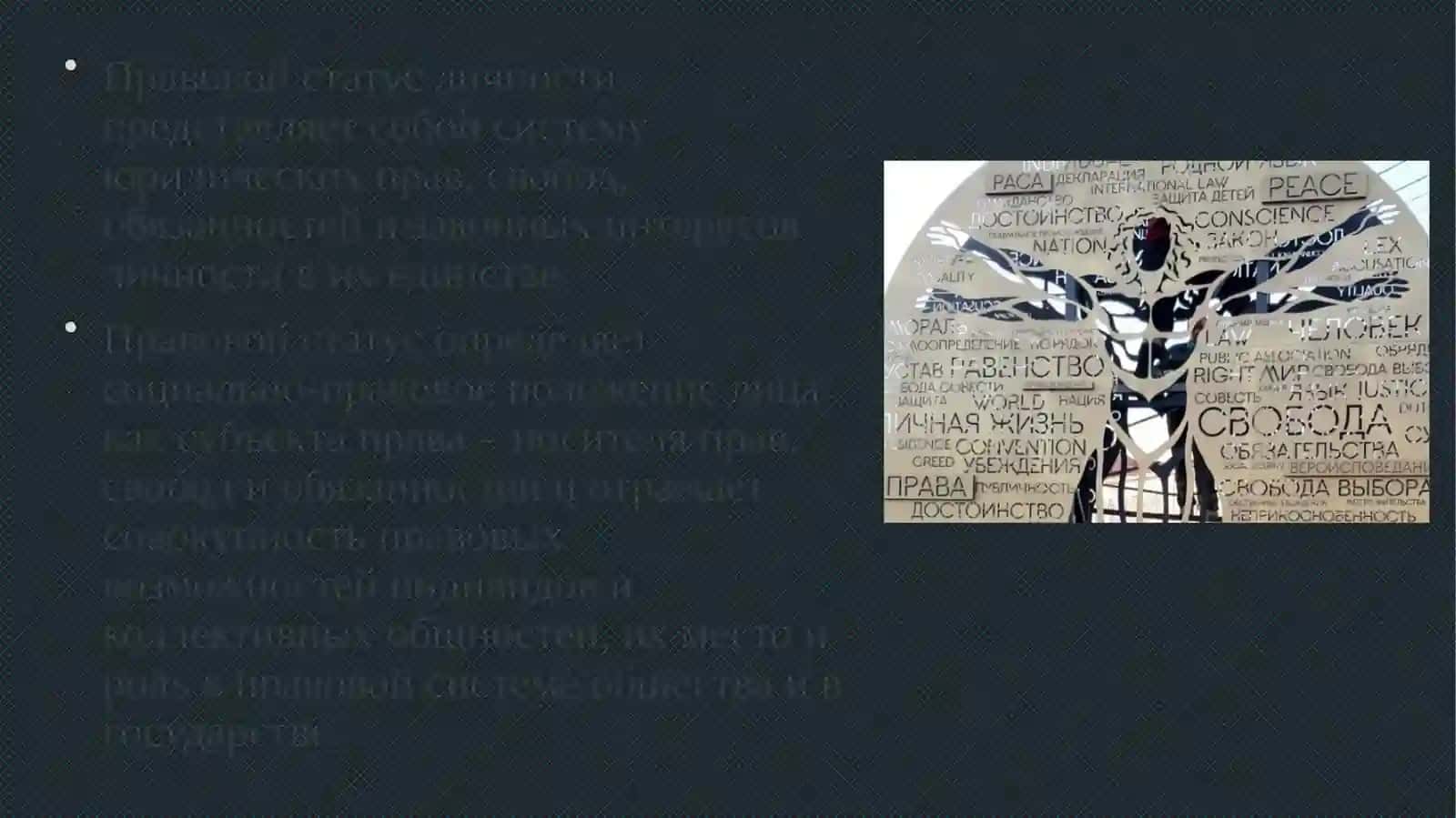 ПРАВА И СВОБОДЫ ЧЕЛОВЕКА 3